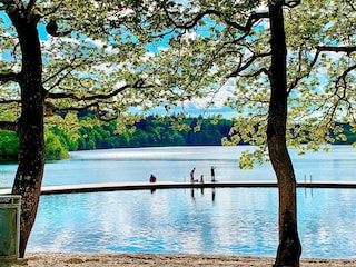 Vakantiehuis Silkeborg Buitenaudio-opname 11