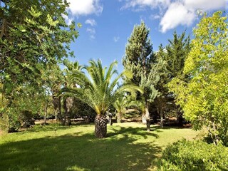Casa de campo Manacor Grabación al aire libre 5