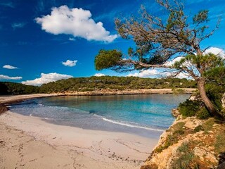 Casa de campo Manacor Entorno 21