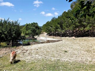 Casa de campo Manacor  24