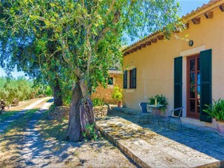 Casale Manacor Registrazione all'aperto 3