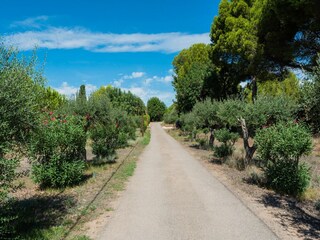Holiday house Salou Environment 34