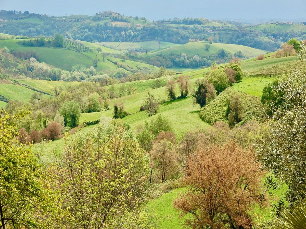 Villa Magliano Sabina Umgebung 30