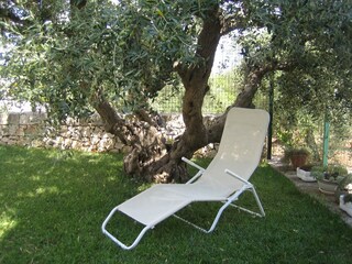 Holiday cottage Alberobello Outdoor Recording 11
