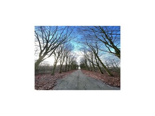 Vakantiehuis Biddinghuizen Omgeving 44