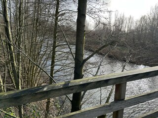 Ferienhaus Biddinghuizen Umgebung 49
