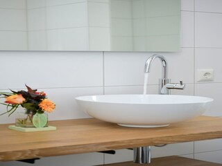 Ferienhaus Biddinghuizen  61