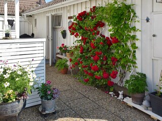 Holiday house Klädesholmen Outdoor Recording 8