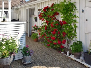 Ferienhaus Klädesholmen Außenaufnahme 4