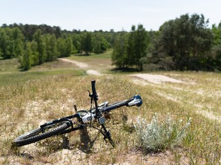 Rad im Naturpark