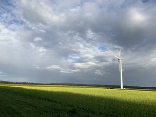 Blick auf die Felder