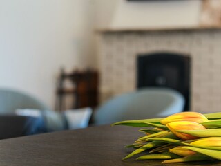 Appartamento per vacanze Tremosine sul Garda Caratteristiche 23