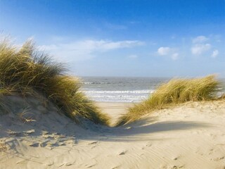 Holiday house Breskens Environment 35