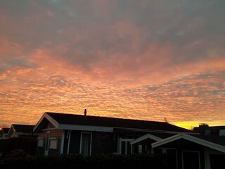 Holiday house Breskens Outdoor Recording 8