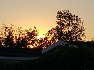 Sonnenuntergang im August