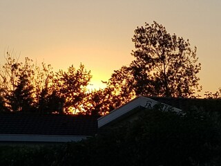 Vakantiehuis Breskens Omgeving 40