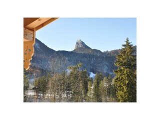 Ausblick