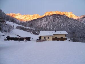 Appartement de vacances Feichtlgütl - Marktschellenberg - image1