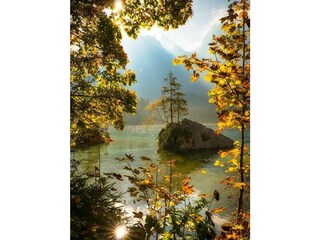 Appartamento per vacanze Marktschellenberg Ambiente 31