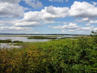 Casa per le vacanze Ejsingholm  12
