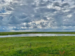 Holiday house Ejsingholm  29