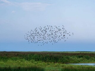 Casa de vacaciones Ejsingholm  31