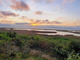 Vakantiehuis Ejsingholm  28