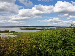 Maison de vacances Ejsingholm  25