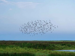 Holiday house Ejsingholm  32