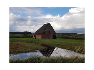 Appartamento per vacanze De Koog Ambiente 38