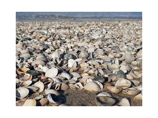 Appartamento per vacanze De Koog Ambiente 39