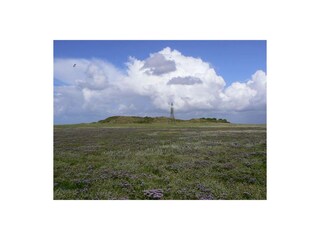 Appartamento per vacanze De Koog Registrazione all'aperto 19