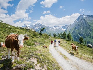 Appartamento Luttach Ambiente 11