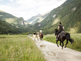 Appartamento Luttach Ambiente 16