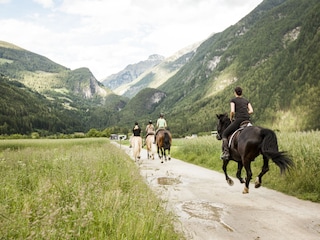Reiten