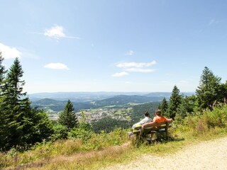 Ferienwohnung Bodenmais Umgebung 15