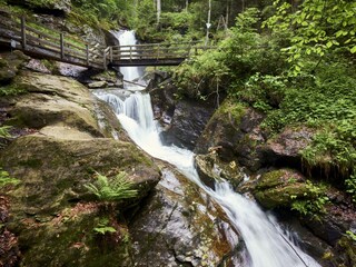 Appartement de vacances Bodenmais Environnement 19