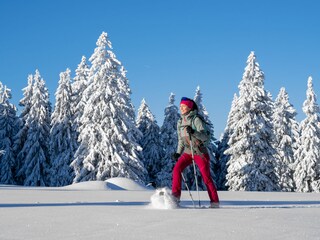 Schnee-Schuh-Wandern im Winterwunderland Bodenmais