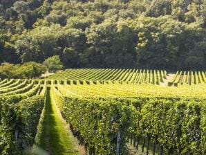 Apartment Appartement/Fewo, Dusche und Bad, WC, 1 Schlafraum