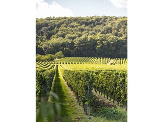 3 - 20250902-IMG_6763