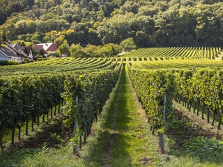 2 - 20250902-IMG_6756