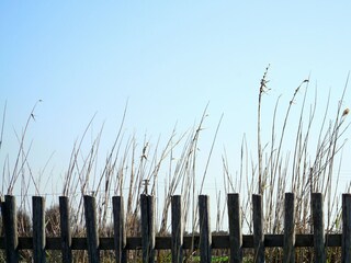 Villa Villanova (Ostuni) Registrazione all'aperto 9
