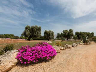 Villa Brindisi Grabación al aire libre 16