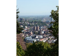 Blick auf Neustadt