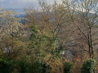 Blick auf das Weinbiet im Winter