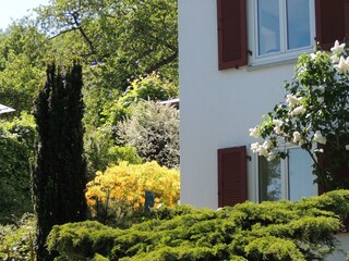 Apartamento Neustadt an der Weinstraße Grabación al aire libre 19