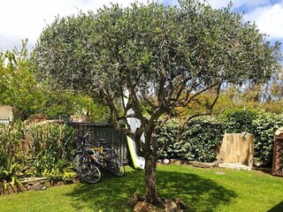 Casa de vacaciones Budoni Grabación al aire libre 10