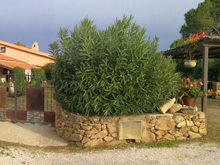 Casa de vacaciones Budoni Grabación al aire libre 2