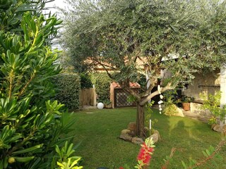 Casa per le vacanze Budoni Registrazione all'aperto 11