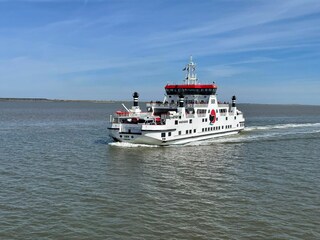 Vakantieappartement Nes Omgeving 29